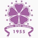 Güzide Gebzespor club crest