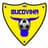 Bucovina Rădăuţi club crest