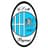 Paşcani club crest