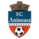 Pucioasa club crest