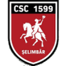 Viitorul Şelimbăr club crest