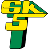 Górnik Łęczna club crest