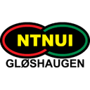 NTNUI club crest