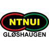 NTNUI club crest
