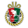 Kochi United club crest
