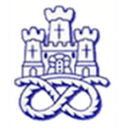 Newcastle Town club crest