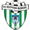 Bzenec club crest