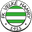 Velké Hamry club crest