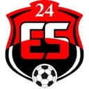 24 Erzincanspor club crest