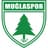 Muğlaspor club crest