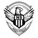 Nazilli Spor club crest