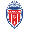 Çankaya FK club crest