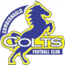 Cumbernauld Colts club crest