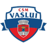CSM FC Vaslui club crest