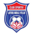 Sânmartin club crest