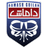Damash Gilanian club crest