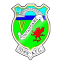 Pontardawe Town club crest