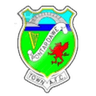 Pontardawe Town club crest