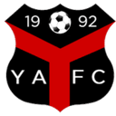 Ynyshir Albions club crest