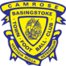Basingstoke Town club crest