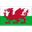 Wales club crest