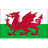 Wales club crest