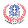 Thame United club crest