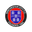 Winchester City club crest