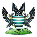 Salisbury club crest