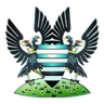Salisbury club crest