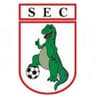 Sousa club crest