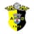 Fafe club crest