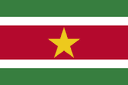 Suriname club crest