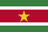 Suriname club crest