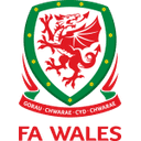 Wales U21 club crest