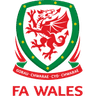 Wales U21 club crest