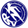 Dellach im Gailtal club crest