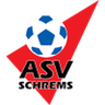 Schrems club crest