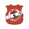Altenmarkt club crest