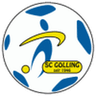 Golling club crest