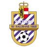 Hallwang club crest