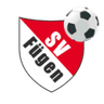 Fügen club crest