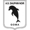 Dauphins Noirs club crest
