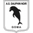 Dauphins Noirs club crest