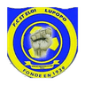 Saint Eloi Lupopo club crest
