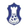 Pazinka club crest