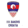 Dakovo-Croatia club crest