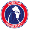 Dorking Wanderers club crest