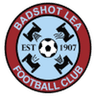 Badshot Lea club crest
