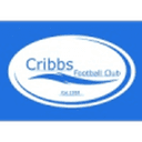 Cribbs club crest